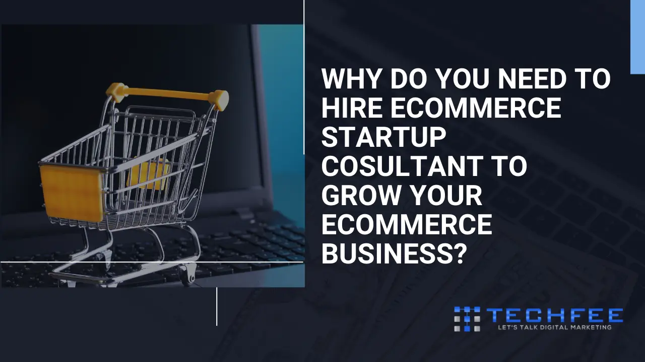 The Ultimate Guide to Hiring Ecommerce Startup Consultants in 2024