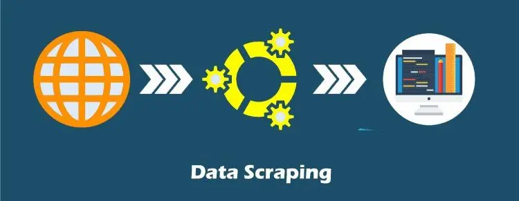 Understanding the Basics of Data Scraping