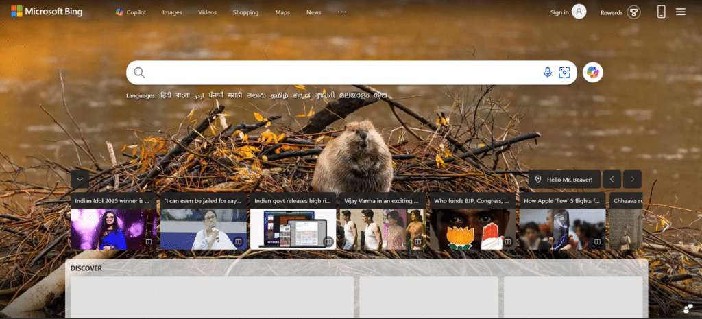 microsoftbing - Other Search Engines Besides Google