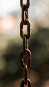 📖 Slide 9 – Build Authority with Backlinks