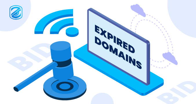 What Are Expired Domains